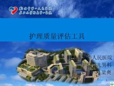 护理质量评估工具十二月ppt课件