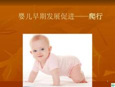 婴儿早期发展促进——爬行ppt课件