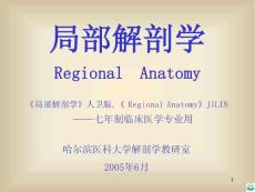 哈尔滨医科大学局部解剖学腹部精品ppt课件