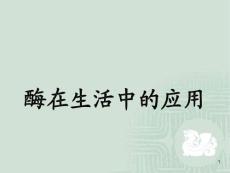 酶在生活中的应用ppt课件