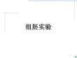 组胚实验精品ppt课件