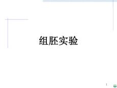 组胚实验精品ppt课件