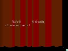 线形动物ppt课件