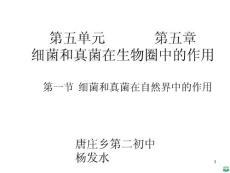 细菌和真菌在自然界中的作用精品ppt课件