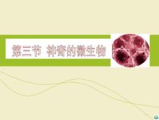 神奇的微生物ppt课件