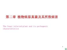 植物病原真菌及其所致病害ppt课件