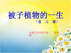 被子植物的一生(复习课)ppt课件