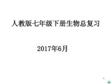人教版七年级下册生物总复习ppt课件