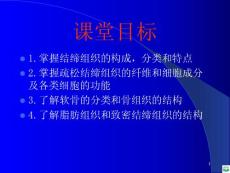 结缔组织精品ppt课件