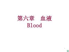 组织胚胎学-血液ppt课件