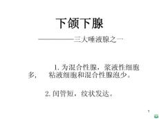 下颌下腺ppt课件