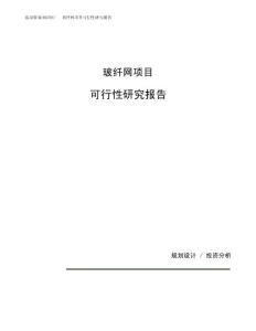 玻纤网项目可行性研究报告（总投资21000万元）（87亩）