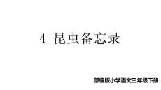 (精品·课堂教学课件)4-昆虫备忘录