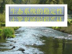 生物必修三第五章第五節(jié)生態(tài)系統(tǒng)的穩(wěn)定性