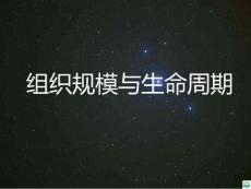 组织规模与生命周期及案例ppt课件