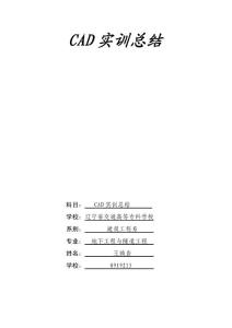 cad實訓報告