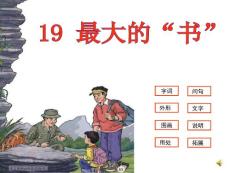 19.最大的書課件