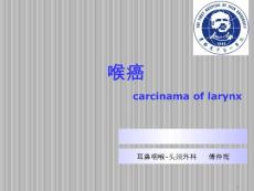 喉癌ppt课件