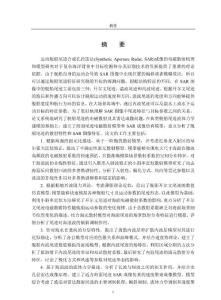 運動艦船尾跡sar成像的電磁散射機理和模型研究