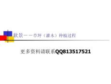 草坪(灌木)种植过程