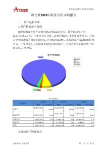 阳光城2018年财务分析详细报告-智泽华