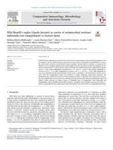 wild bonelli´s eagles (aquila fasciata) as carrier of antimicrobial resistant salmonella and campylobacter in eastern spain.[2019][comp immunol mic