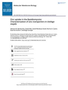 zinc uptake in the basidiomycota_ characterization of zinc transporters in ustilago maydis.[2019][mol membr biol]