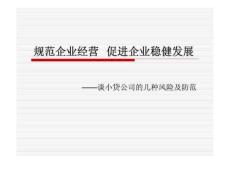 談小貸公司的幾種風險及防范