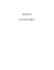 手輪項目可行性研究報告模板