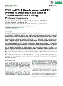 PCH1 and PCHL Directly Interact with PIF1, Promote Its Degradation, and Inhibit Its Transcriptional Function during Photomorphogenesis+sup