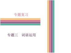 人教版語文七年級(jí)下冊(cè) 專題三  詞語運(yùn)用 （共12張PPT）