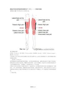 激痛点和肌肉疼痛自我按摩治疗(30)大腿内侧痛