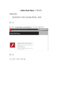 AdobeFlashPlayer