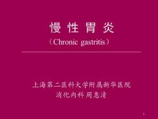 慢性胃炎94182