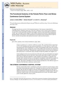 骨盆與尿失禁The Functional Anatomy of the Female Pelvic Floor and Stress Continence Control System