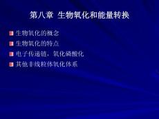 生物化學(xué)課件（生物氧化和能量轉(zhuǎn)換）