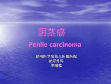 阴茎癌 Penile carcinoma