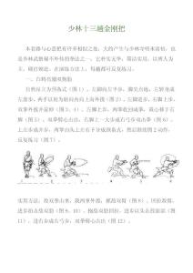 少林十三趟金剛把