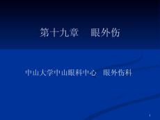 眼外伤 ppt课件