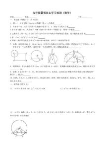 九年級暑假自主學習檢測（數學）