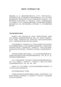 核條件下的登陸戰(zhàn)與氣象