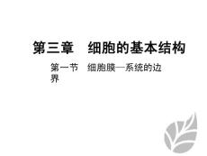 人教版-生物-高一-必修一第三章-第一節(jié)-細(xì)胞膜-系統(tǒng)的邊界-1課時-課件