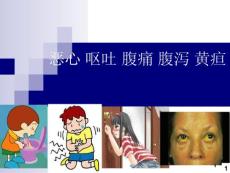 恶心 呕吐 腹痛 腹泻 黄疸ppt精选课件