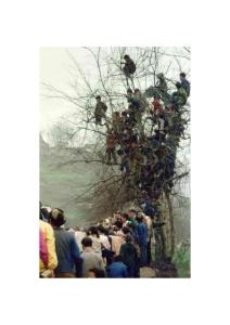 強(qiáng)勢圍觀