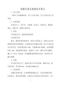 地膜白黃瓜栽植技術(shù)要點(diǎn)
