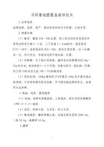 地膜馬鈴薯栽培技術(shù)