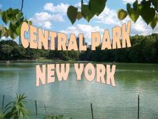 20110822central-park-new-york纽约中心花园y