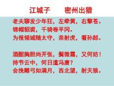 蘇軾《念奴嬌-赤壁懷古》課件復習課程18頁PPT