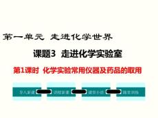 第1課時 化學實驗常用儀器及藥品的取用