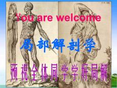 局部解剖